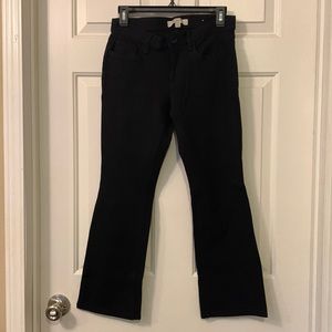 Loft brand pants